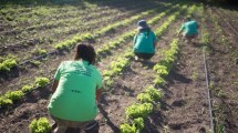 Imagen de El Corredor Patagónico ya cuenta con 10 puntos de abastecimiento en cuatro provincias