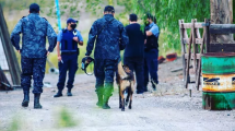 Imagen de Apareció al adolescente de Allen que era intensamente buscado con perros adiestrados