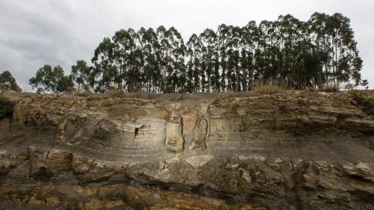 Los geólogos quedaron sorprendidos cuando descubrieron los restos de un bosque que data de hace 290 millones de años de años atrás en Brasil. Foto AFP. 