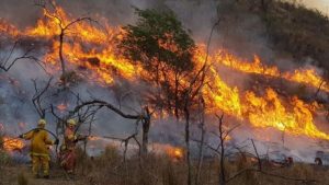 Medio ambiente: nuestra última oportunidad