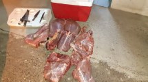 Imagen de Decomisaron carne faenada de una especie protegida en operativo policial en Valle Azul