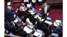 Imagen de Video: casi terminan a las piñas en el Senado por una discusión sobre el Gobierno y Milagro Sala