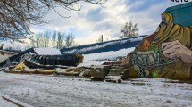 Imagen de Se desplomó el gimnasio municipal de El Hoyo por el temporal de nieve