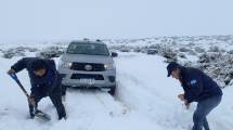 Imagen de Un criancero llevaba 15 días aislado por la nieve y los pumas le mataron animales