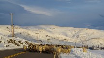 Imagen de Norte neuquino: mirá qué belleza este viaje de Los Miches a Varvarco por caminos nevados