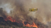 Imagen de Ola de calor: más de 500 personas fallecieron en España, dijo el presidente Pedro Sánchez