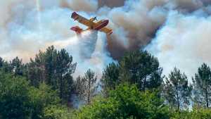 En fotos: la ola de calor genera incendios en Francia y España