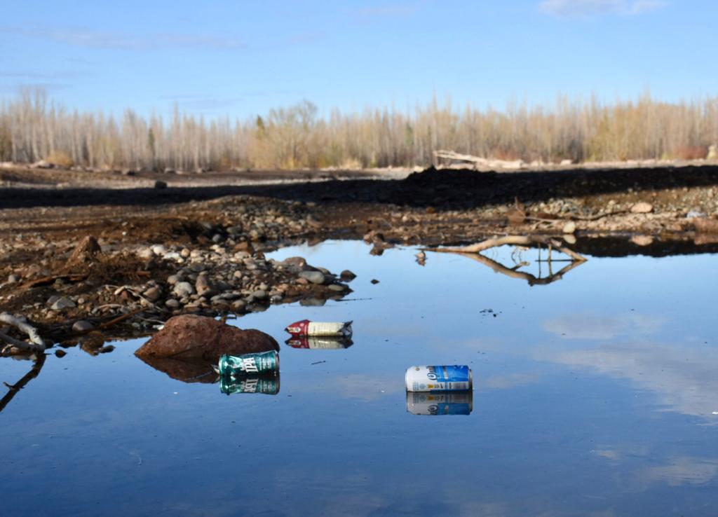 Convocaron a limpiar el Rio Limay y sugirieron a los voluntarios a acercarse a la zona del rio que les sea más cercana (Foto archivo Matías Subat).-