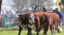 Imagen de Aniversario de Choele Choel: el rol decisivo de la Sociedad Rural en la economía local y regional