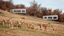 Imagen de 30 fotos de un lodge increíble al pie de las Torres de Paine: quién y cómo lo construyó