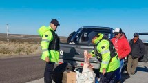 Imagen de Policía de Río Negro decomisó más de 19.000 kilos de carne en 2022