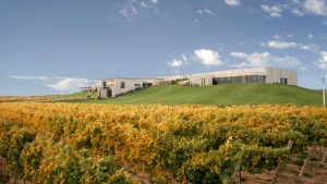 Un recorrido por viñedos de bodega Malma, una buena opción al turismo alternativo