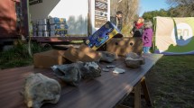 Imagen de Hallan fósiles del Museo de Lago Gutiérrez en cajas de frutas en una estancia en Pilcaniyeu