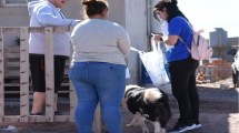 Imagen de Censo animal en Añelo: hay dos perros por casa en el pueblo de Vaca Muerta