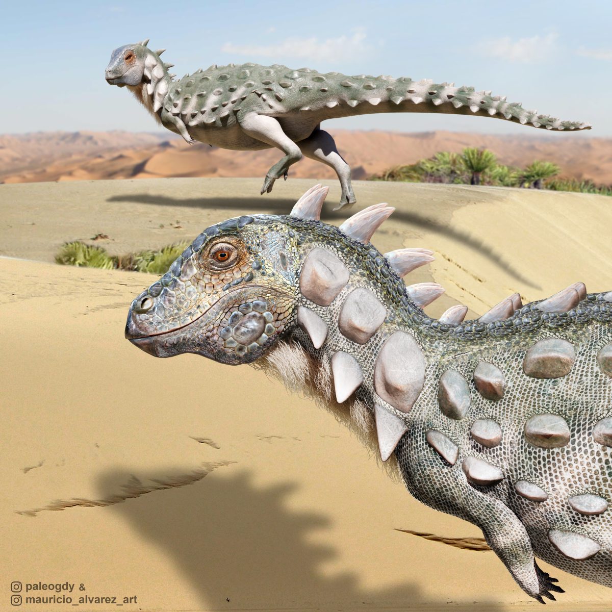 El dinosaurio encontrado recibió el nombre Jakapil kaniukura. Estaba cerca de la localidad de Cerro Policía, en Río Negro (Crédito: Mauricio Alvarez)