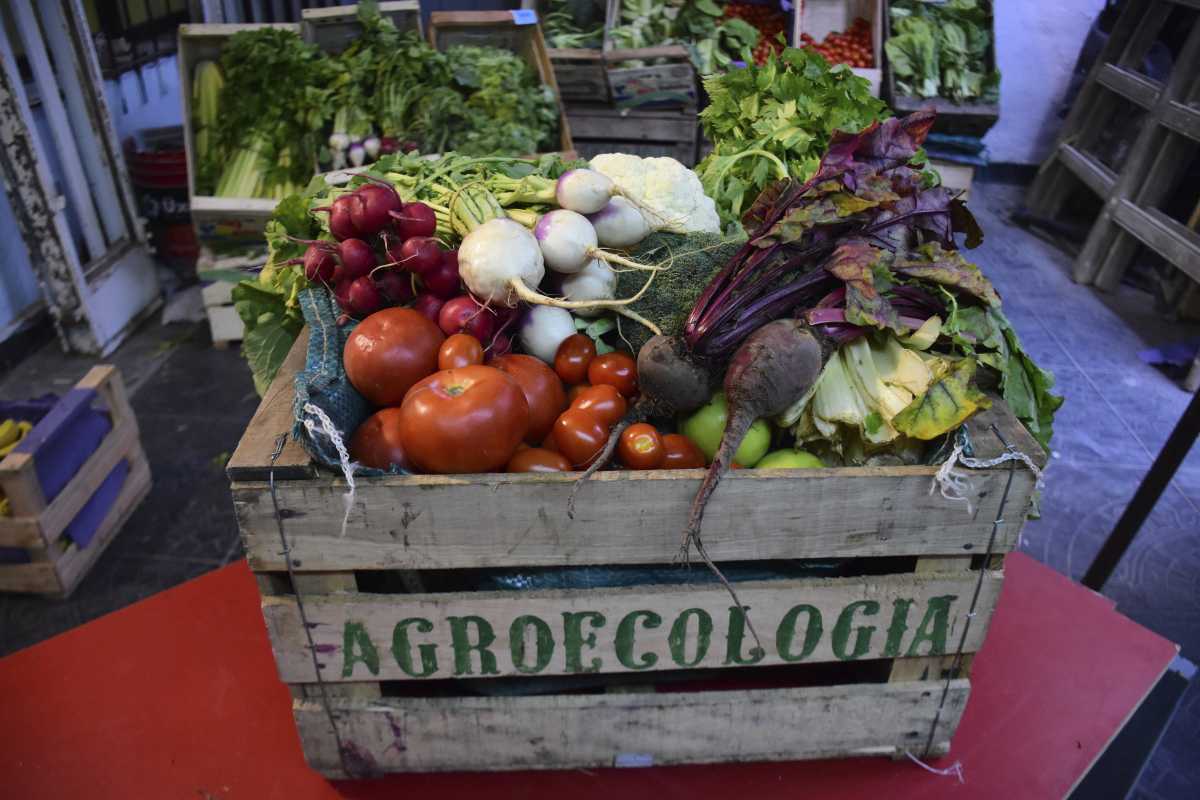 Se viene una feria agroecológica en la Universidad Nacional del Comahue. Foto: ilustrativa archivo