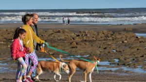 Se viene la playa para perros en El Cóndor