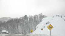 Imagen de Pasos fronterizos y rutas de Neuquén intransitables por acumulación de nieve y viento blanco