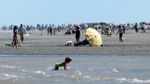 Mascotas en la playa, el Deliberante de Viedma trata una iniciativa del Ejecutivo municipal