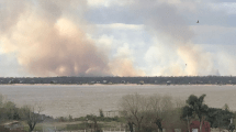 Imagen de Siguen los incendios en el Delta del Paraná: Nación ampliará su denuncia ante la Justicia