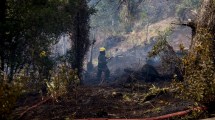 Imagen de A pesar del invierno con nieve, preocupa la sequía y los incendios forestales en la región andina