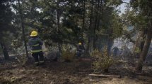 Imagen de Preocupación causó un incendio interfase en un baldío cerca del centro de Bariloche