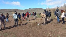 Imagen de Jacobacci lucha contra la desertificación y el cuidado del ambiente