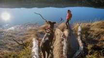 Imagen de Qué podemos esperar, desde este miércoles, de la primavera en Río Negro y Neuquén