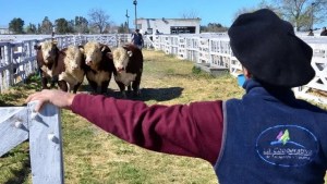 La programación de la Expo Ganadera de la Comarca Viedma-Patagones