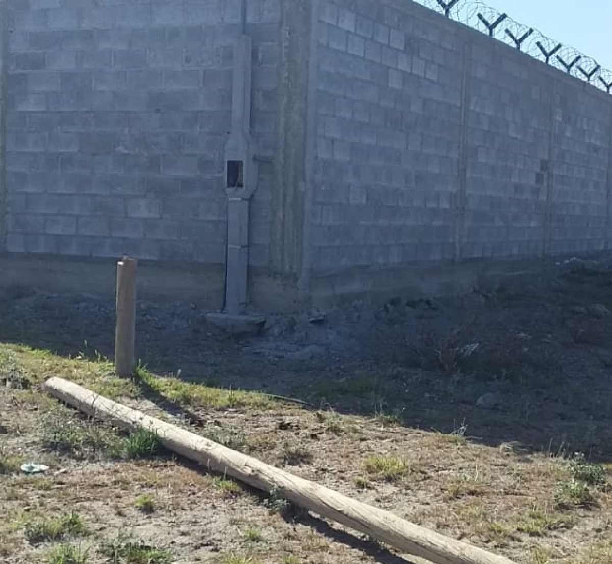 En Mainqué, hacharon un poste para llevarse los cables de electricidad. (Foto gentileza)