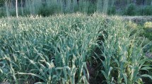 Imagen de En el lago Pellegrini existe una comunidad dedicada a promover la agroecología