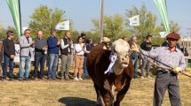 Imagen de Carreras inauguró la muestra rural de Viedma, “con buenas expectativas de crecimiento”