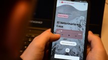 Imagen de Llega DIGO, la app de «Río Negro» con más de 70 micros de audio de vecinos de la región