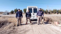 Imagen de Abby y Loky, perros de búsqueda de personas