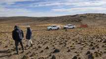 Imagen de Alerta en Río Negro y Chubut ante un nuevo brote de tucuras