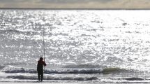 Imagen de Bahía San Blas abrió así la temporada de pesca: cuánto sale ir al paraíso del pescador