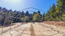 Imagen de Parques nacionales tendrá un invernadero de nativas en tierras del Ejército de Bariloche