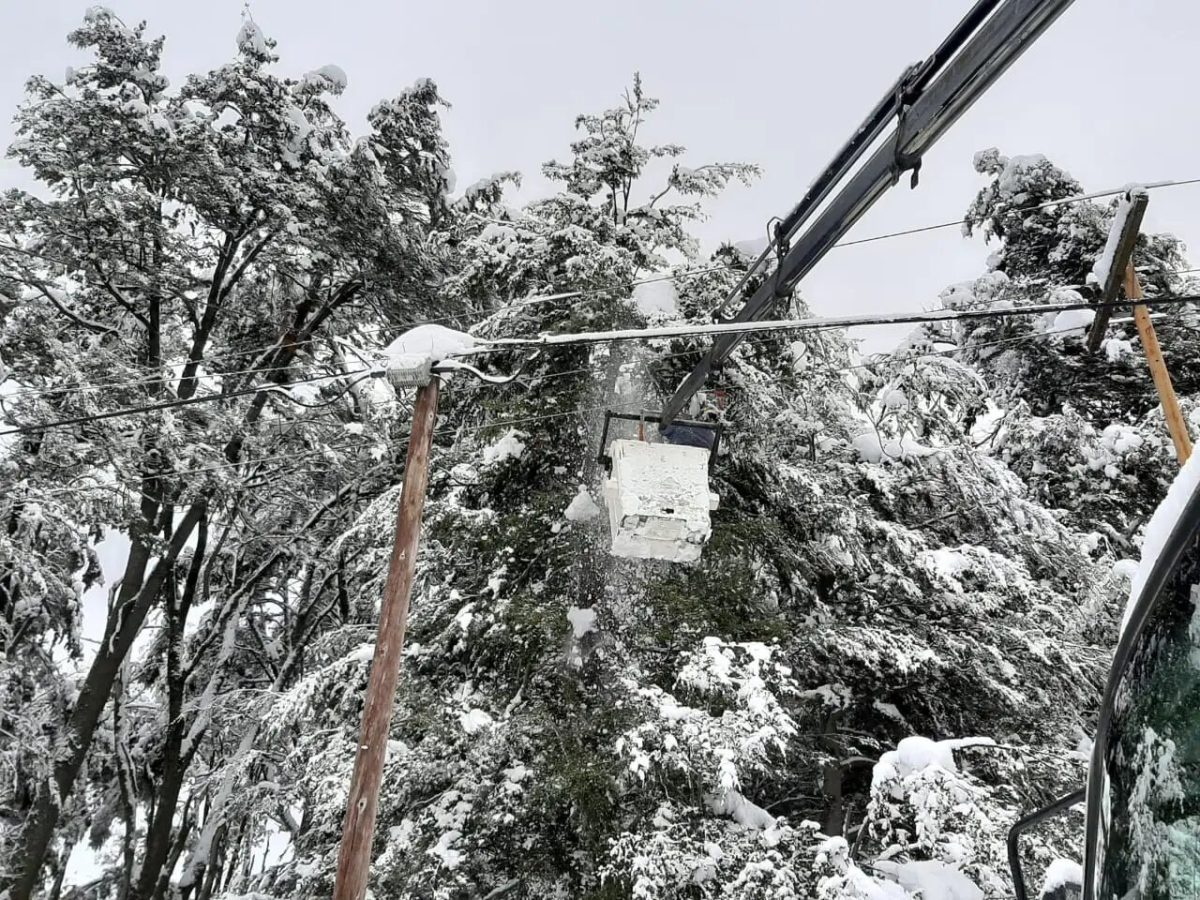 El invierno de 2019 fue de intensas nevadas que causaron la caída de árboles y ramas sobre las líneas del EPEN y provocaron numerosos cortes de servicio en Villa La Angostura. (foto de archivo)