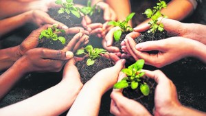 La educación ambiental