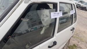 Indignante: dejó a su perro encerrado en el auto y estacionó sobre las vías en el centro de Neuquén 