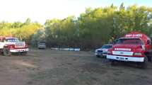 Imagen de Tres dotaciones de bomberos sofocaron un incendio de pastizales en una zona rural de Roca