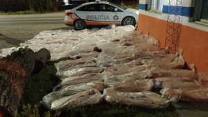 Decomisaron más de 100 costillares en Río Colorado