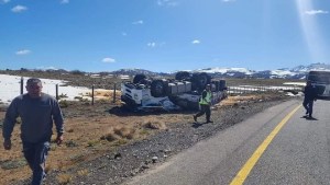 Un camionero argentino murió tras volcar cerca del paso internacional Pino Hachado