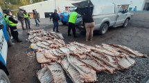 Imagen de El precio del asado en Neuquén se consigue al doble de lo que se paga en La Pampa: ¿Menos consumo o menos controles?