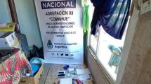 Imagen de Cinco allanamientos en Neuquén por narcotráfico: secuestro de droga y efectivo