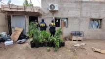 Imagen de Desbaratan banda narco en el oeste de Neuquén,  se dedicaban al “delivery” de droga