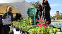 Imagen de Realizarán una feria de agricultura urbana en Neuquén por los 20 años de Proda