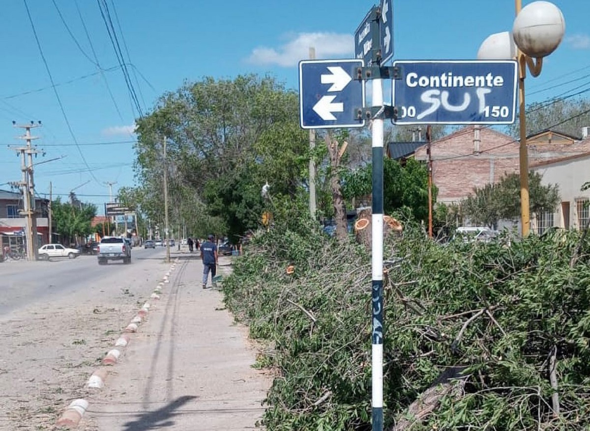 La tasa se aplicará para cubrir el costo operativo de levantar los restos de podas que son dejados por los vecinos. 