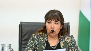 Murió un bebé en Cipolletti y la médica fue sobreseída por mala praxis, pero con críticas a la investigación