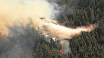 Imagen de Anticipan un verano caluroso y seco con alto riesgo de incendios en la región